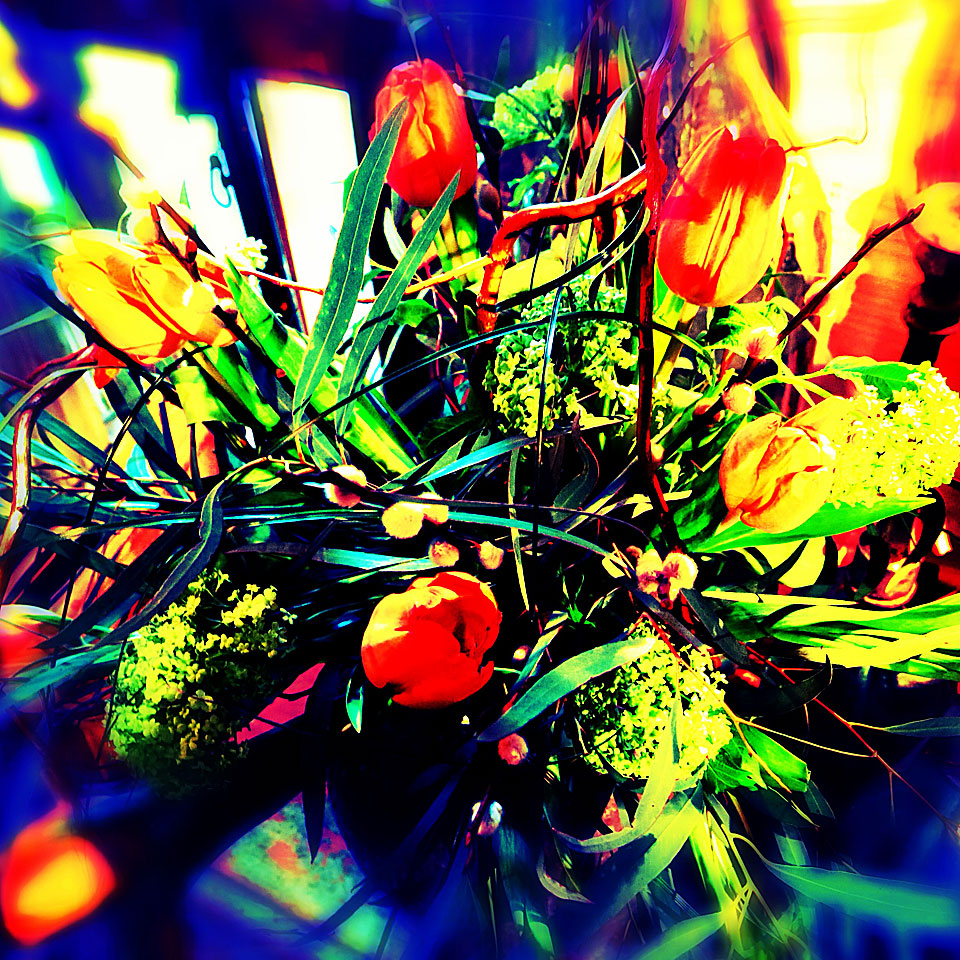 Kolorit på Tulpanens Dag